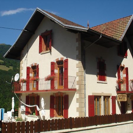 Bed and Breakfast L'Horizon Des Alpes Le Petit-Bornand-les-Glieres Zewnętrze zdjęcie